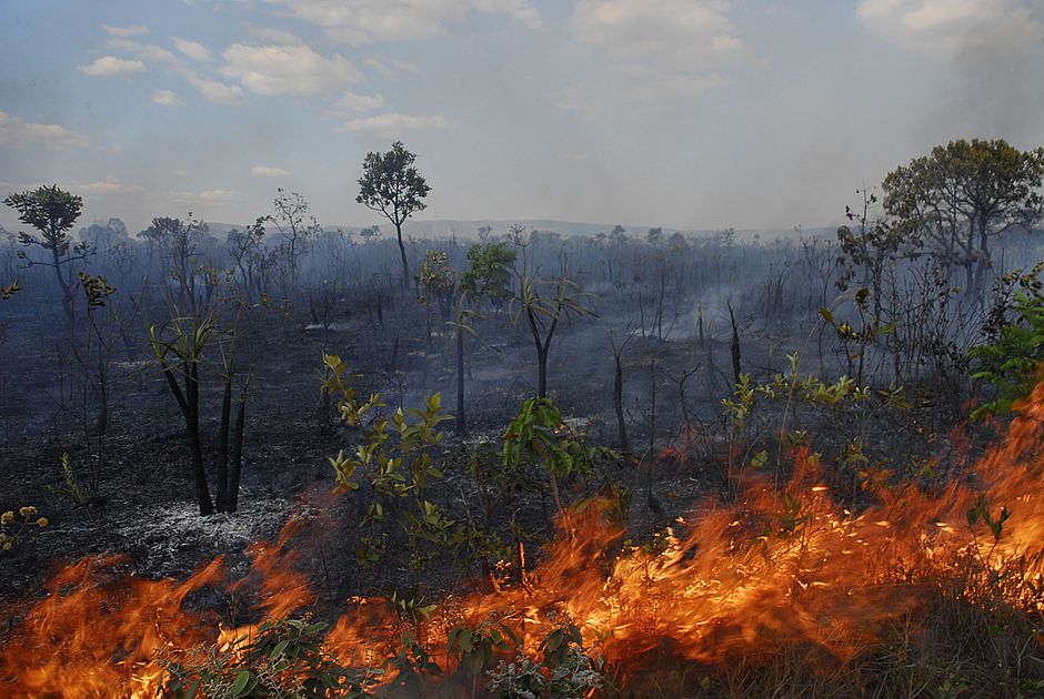 Incêndio na Chapada dos Veadeiros já dura cinco dias e destrói 10 mil hectares
